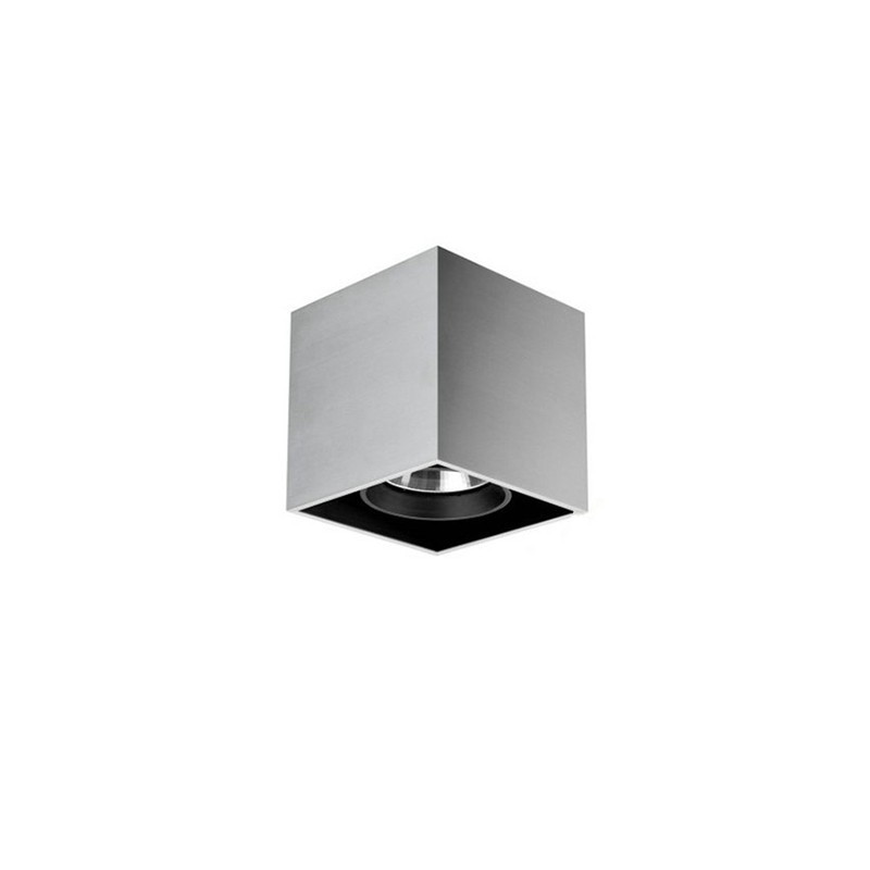 ceiling spotlight fixture