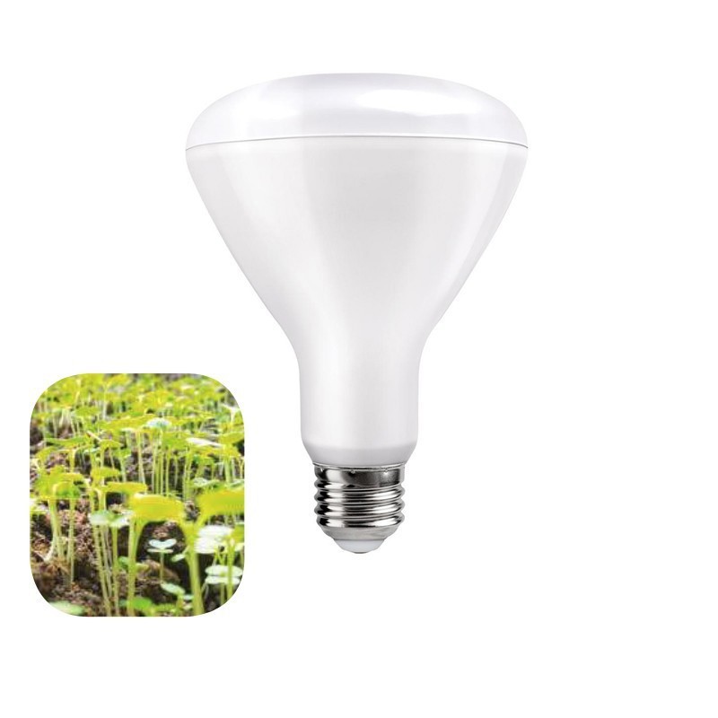 green light bulbs for plants